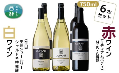 No.158 笹一酒造OLIFANT【赤・白】 750ml×6本【n0158_sas】