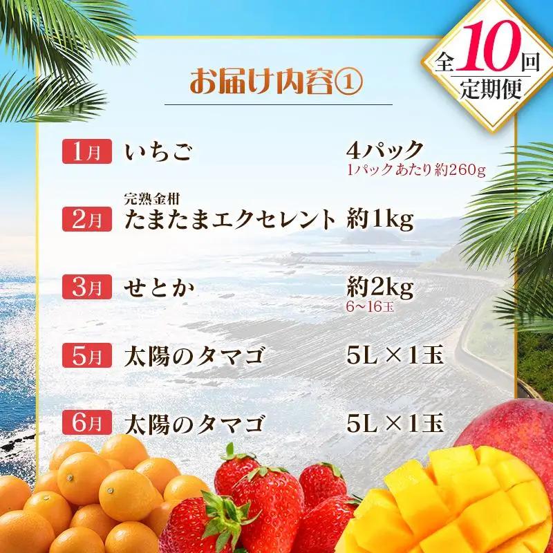 【10回定期便】旬 人気 フルーツ 南国宮崎産 太陽のタマゴ 金柑たまたまエクセレント シャインマスカット ピオーネ いちご みかん 梨 メロン 柑橘 マンゴー きんかん たまたま ぶどう 果物 詰め