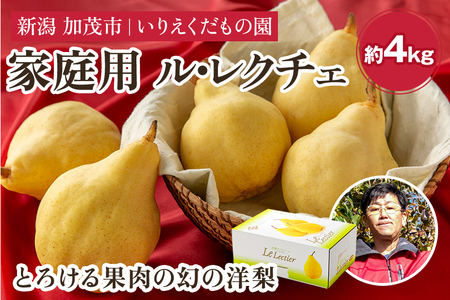 【2025年先行予約】【家庭用】 西洋梨ル・レクチェ 約4kg （9～14玉） 《11月下旬以降発送》 幻の洋梨 いりえくだもの園