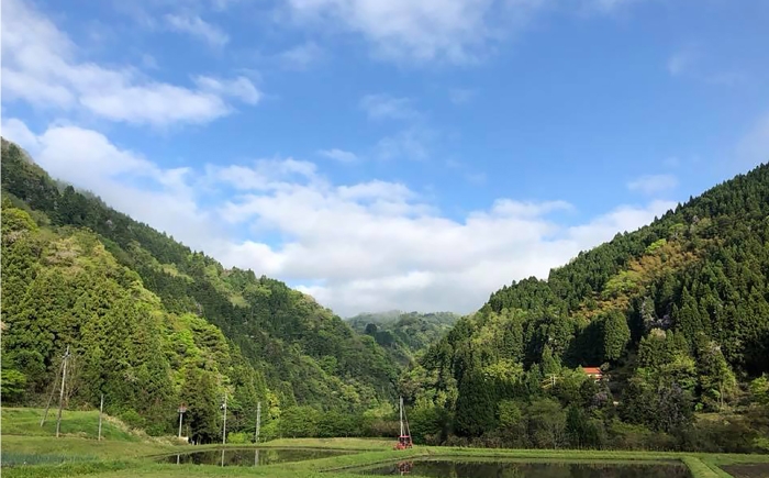 餅 杵つき もち 丸餅 五穀もち おもち 穀物 コシ  国産