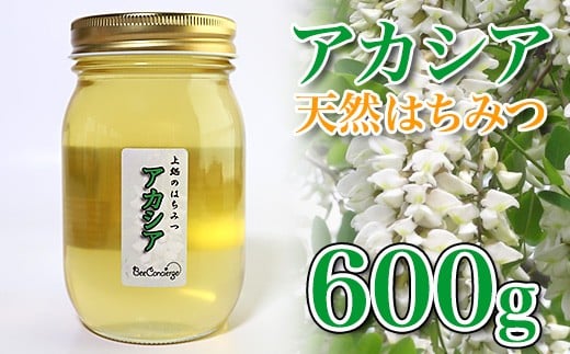 
国産 はちみつ アカシアはちみつ 600g 養蜂家 齊藤兄弟 Bee concierge ビーコンシェルジュ
