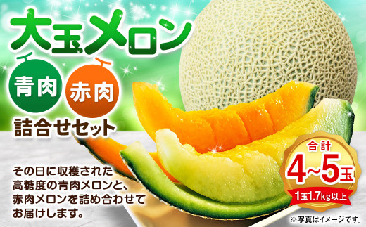 大玉 メロン 青肉 赤肉 4～5玉 詰合せ セット （1玉 1.7kg以上）  果物 フルーツ めろん 4玉 5玉 食べ比べ 北海道 浦臼町 【2026年7月上旬～8月上旬迄発送予定】