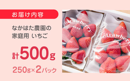 【2025年12月より順次発送】いちご 計500g いちご いちご いちご いちご いちご[YBI001]