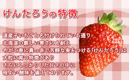 【2025.5月以降順次出荷】いちご「けんたろう」2トレーセット 【 ふるさと納税 人気 おすすめ ランキング 果物 いちごイチゴ 苺 国産いちご 国産苺 けんたろう セット おいしい 美味しい 甘い