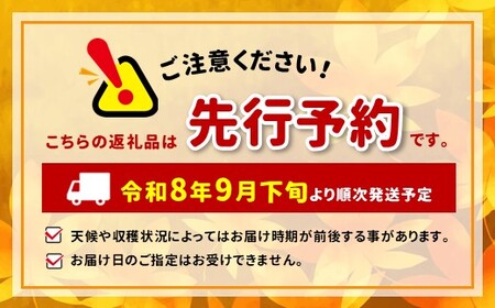 【2026年先行予約】訳あり トキ 約3kg ｜ 浅野農園