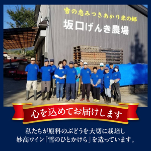 妙高ワイン【雪のひとかけら 2023】 数量限定 お酒 酒 ワイン 赤ワイン マスカット・ベーリーA ビジュノワール アルモノワール 辛口 12% FLOCON DE NEIGE フロコン ドゥ ネー