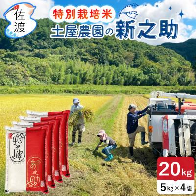 ふるさと納税 佐渡市 佐渡島産新之助 無洗米20kg 土屋農園 栽培期間中農薬・化学肥料5割減 令和7年産【食の宝島佐渡】