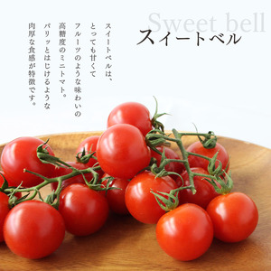 【3月発送】 高糖度 ミニトマト スイートベル （ ヘタなし ） 150g × 12P | 野菜 トマト ミニトマト プチトマト トマト 高糖度 トマト とまと 小分け 千葉 君津 きみつ