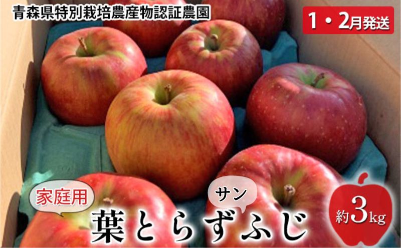 りんご 【 1月～2月発送 】 家庭用 葉取らず サンふじ 約 3kg 青森県特別栽培農産物認証農園 【 弘前市産 青森りんご 】