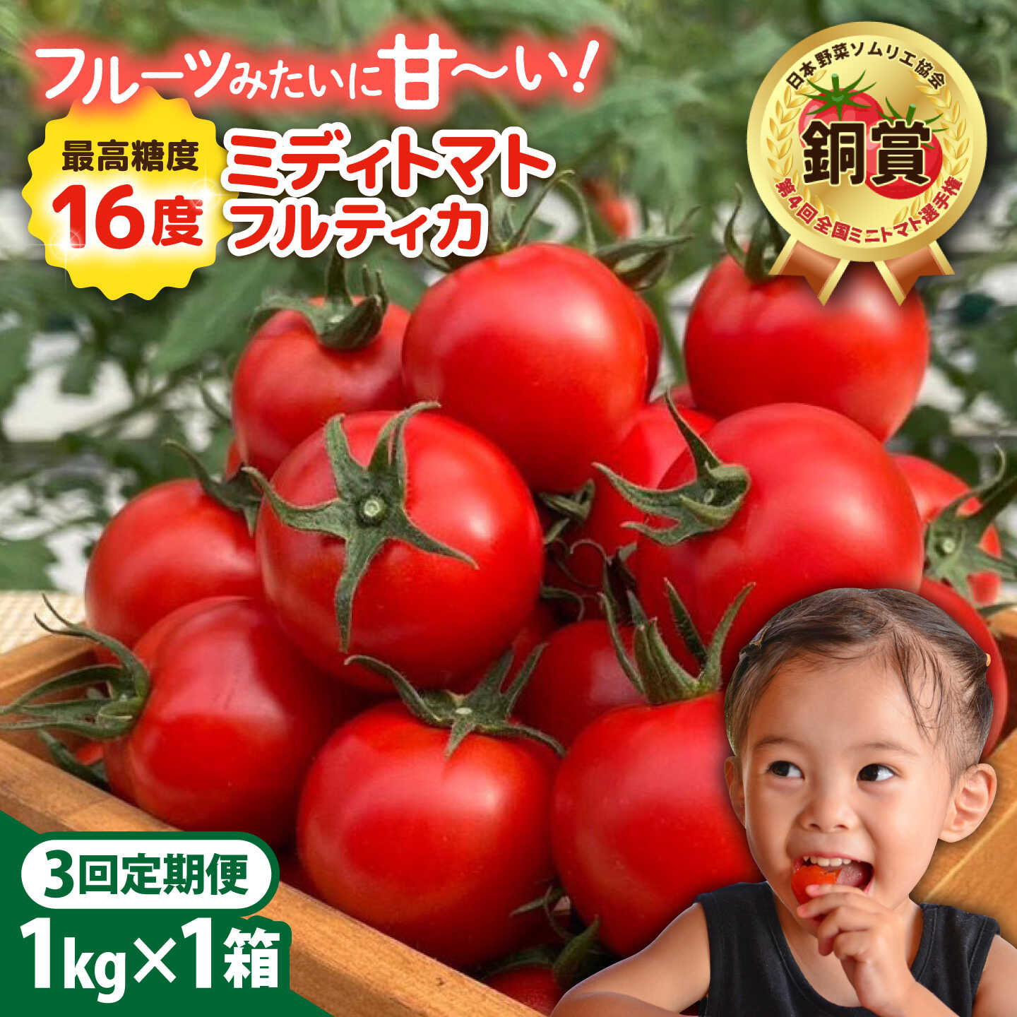 【ふるさと納税】【先行予約】【全3回定期便】 フルティカ 1kg 糸島市 / かわぞえ農園 トマト 中玉トマト 【2026年11月以降順次発送】[AAM010]