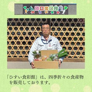 直売所からお届け！旬の野菜セット（8～10品詰め合わせ）新鮮な野菜直送便