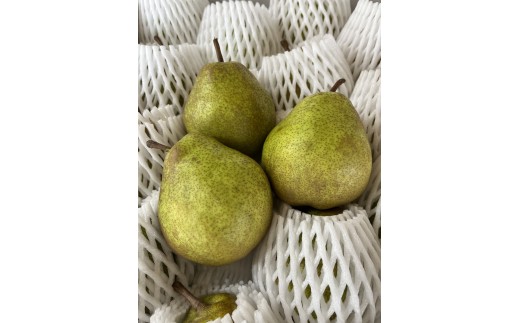 西洋梨（ラ・フランス）３ｋｇ　ご家庭用　0041-2602