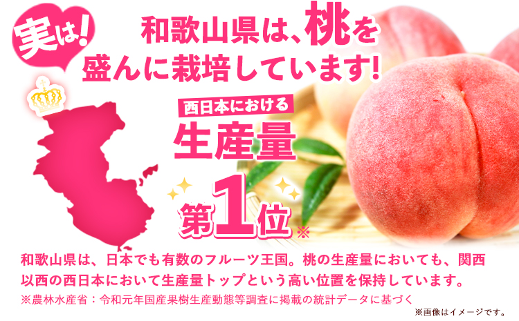 【先行予約】桃 もも あら川の桃 和歌山県産 紀州 の名産 旬の桃厳選 約2kg 5-8玉入り 《2025年6月中旬-8月中旬頃出荷》 果物 フルーツ 和歌山 もも肉厚ジューシー あかつき 紀の川 あ