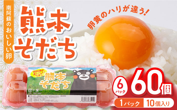 熊本県産 熊本そだち 60個入り ( 10個入り × 6パック ) 山都町 たまご 卵【蘇陽農場】 [YBE033]