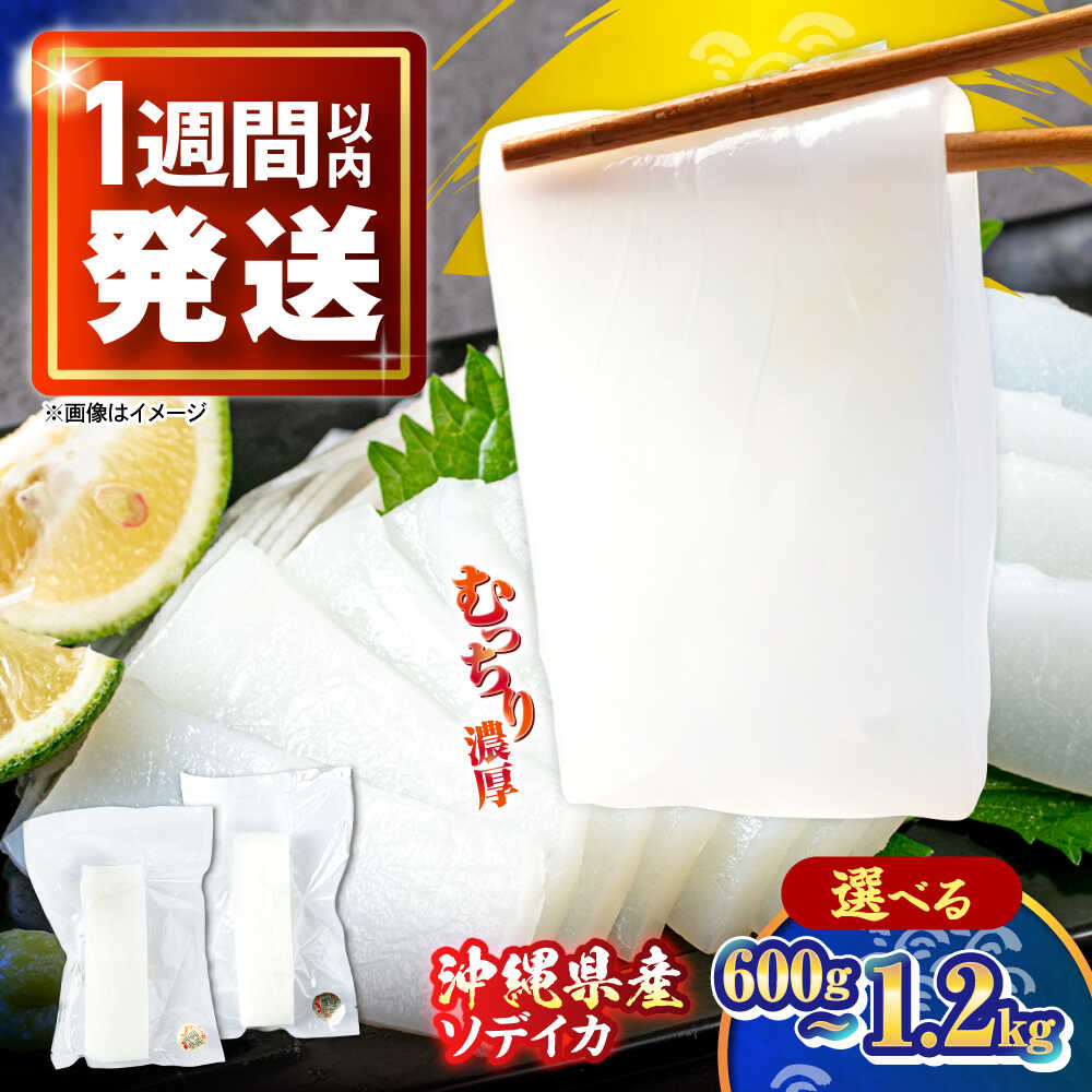 【ふるさと納税】【選べる内容量】セーイカ (そでいか) 600g～1.2kg（1パック/300g） 沖縄市 / 沖縄市漁業協同組合 パヤオ直売店[BCDZ002] 魚類 お刺身 冷凍配送