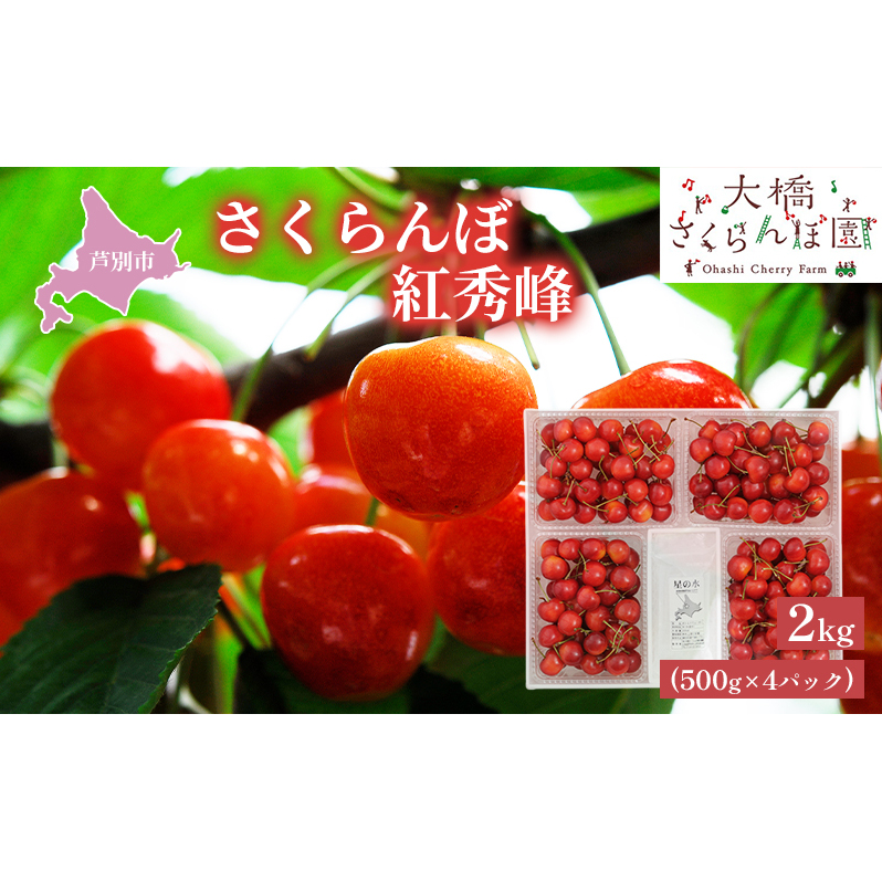 【 先行受付 】さくらんぼ 紅秀峰 2kg 500g×4パック 大橋さくらんぼ園 農林水産大臣賞 受賞 サクランボ チェリー 果物 果物類 フルーツ デザート 甘味 濃厚 人気 厳選 最高級 こだわり 逸品 大粒 北海道 芦別市 