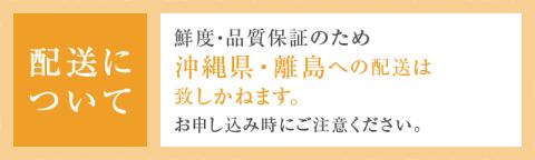 厳選！山梨県甲州市産 巨峰 約1kg(2～3房)【2024年発送】（THR）B-804