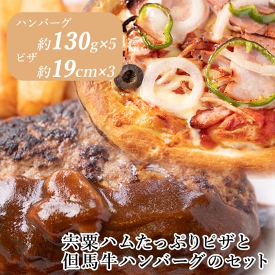 宍粟ハムたっぷりピザと但馬牛ハンバーグのセットJ23