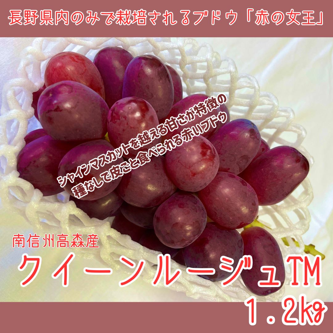 【ふるさと納税】ぶどう【南信州高森産】クイーンルージュTM 1.2kg 2026年9月中旬より発送 長野県 信州 農家直送 果物 くだもの ぶどう 旬のぶどう ルージュ 山吹ぶどう狩り組合【配送不可地域：離島】
