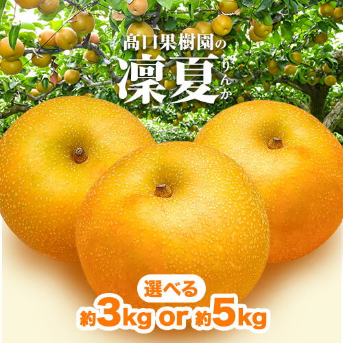 【ふるさと納税】【2026年先行予約】 梨 旬の梨 凜夏 和梨 選べる 約 3kg or 5kg秋 旬 熊本県 荒尾市産 高口果樹園《2026年8月中旬-9月上旬頃出荷》フルーツ 果物