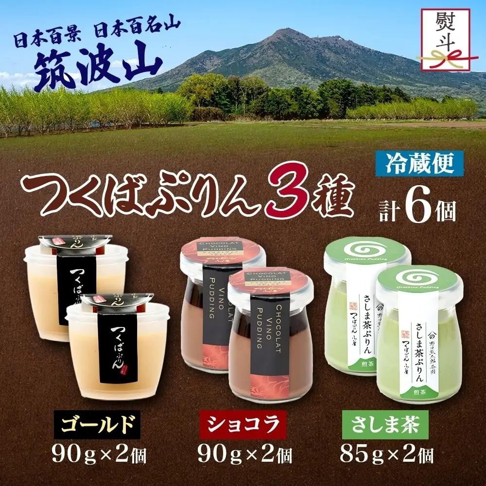 無地熨斗 ゴールドぷりん ＆ ショコラ・ヴィノ・プディング ＆ さしま茶プリン 各2個 計6個 つくばぷりん プリン ぷりん ショコラ チョコレート さしま茶 茶 お茶 スイーツ 洋菓子 和スイーツ 