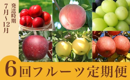 【6回定期便】小布施屋のフルーツ定期便　6ヵ月コース ［小布施屋］ 定期便 頒布会 フルーツ 果物 令和8年産 【2026年7月～12月発送】 ［J-3］