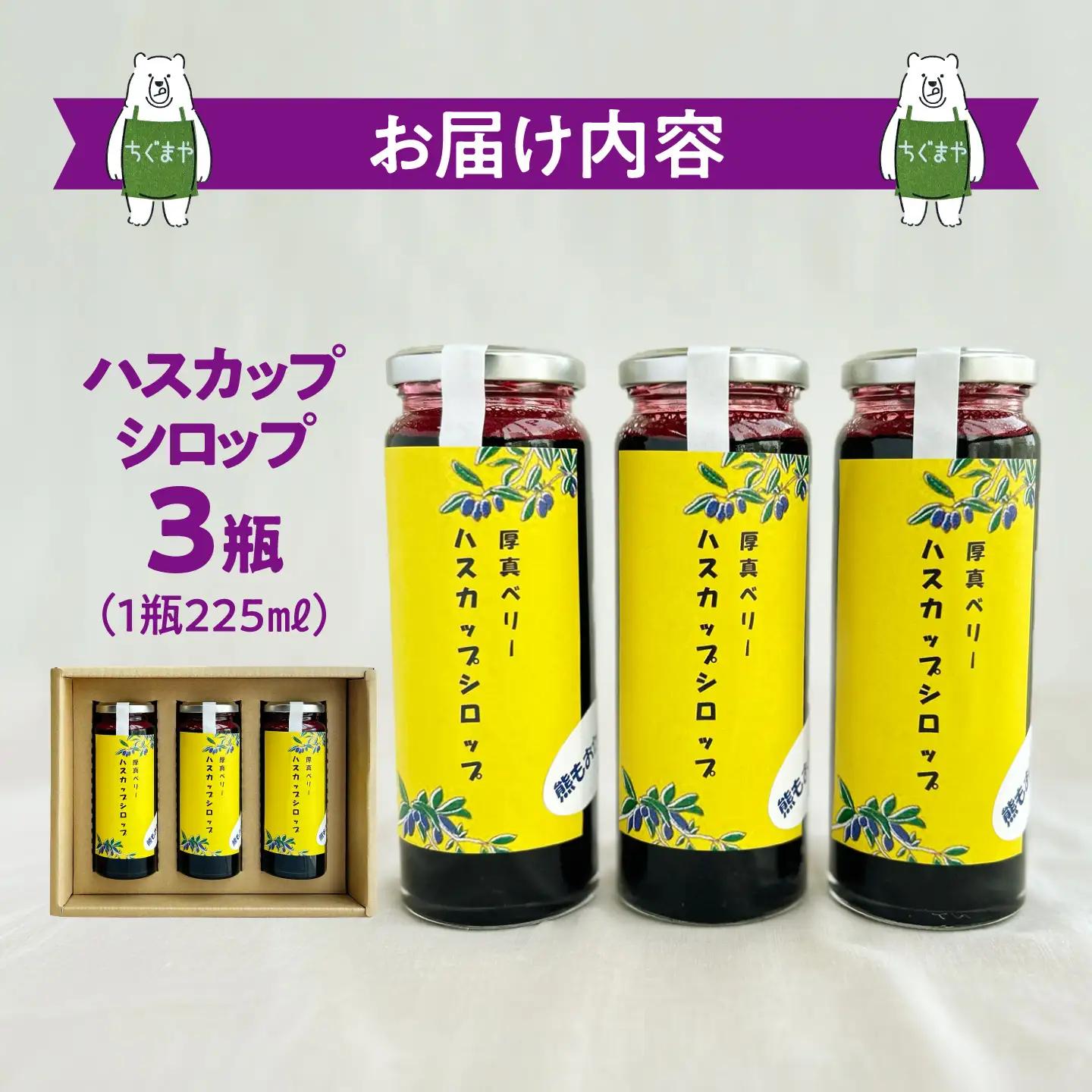 北海道厚真町産ハスカップシロップ3瓶セット【株式会社知熊屋】 [AXBN004]