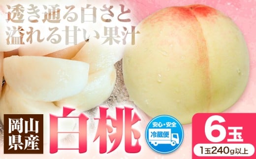 先行受付 岡山県産 白桃 1玉 240g以上 6玉入り ロイヤル 《2026年7月中旬-8月下旬頃出荷》 【配送不可地域あり】