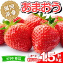 【ふるさと納税】＜容量を選べる・先行予約受付中！2025年2月中に発送予定＞福岡県産 あまおう(計約500g or 1kg or 1.5kg)いちご 苺 フルーツ 果物 くだもの 冷蔵 ＜離島配送不可＞【ksg1491・ksg1492・ksg1493】【くまふる春日】