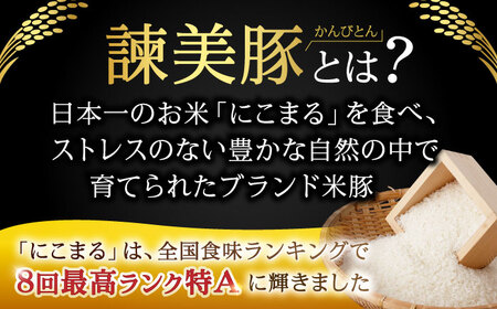 【訳あり】諫美豚 切り落とし 2.1kg  / 諫美豚 豚肉 切り落とし 肉 ウデ モモ 訳あり / 諫早市 / 株式会社土井農場 [AHAD063]