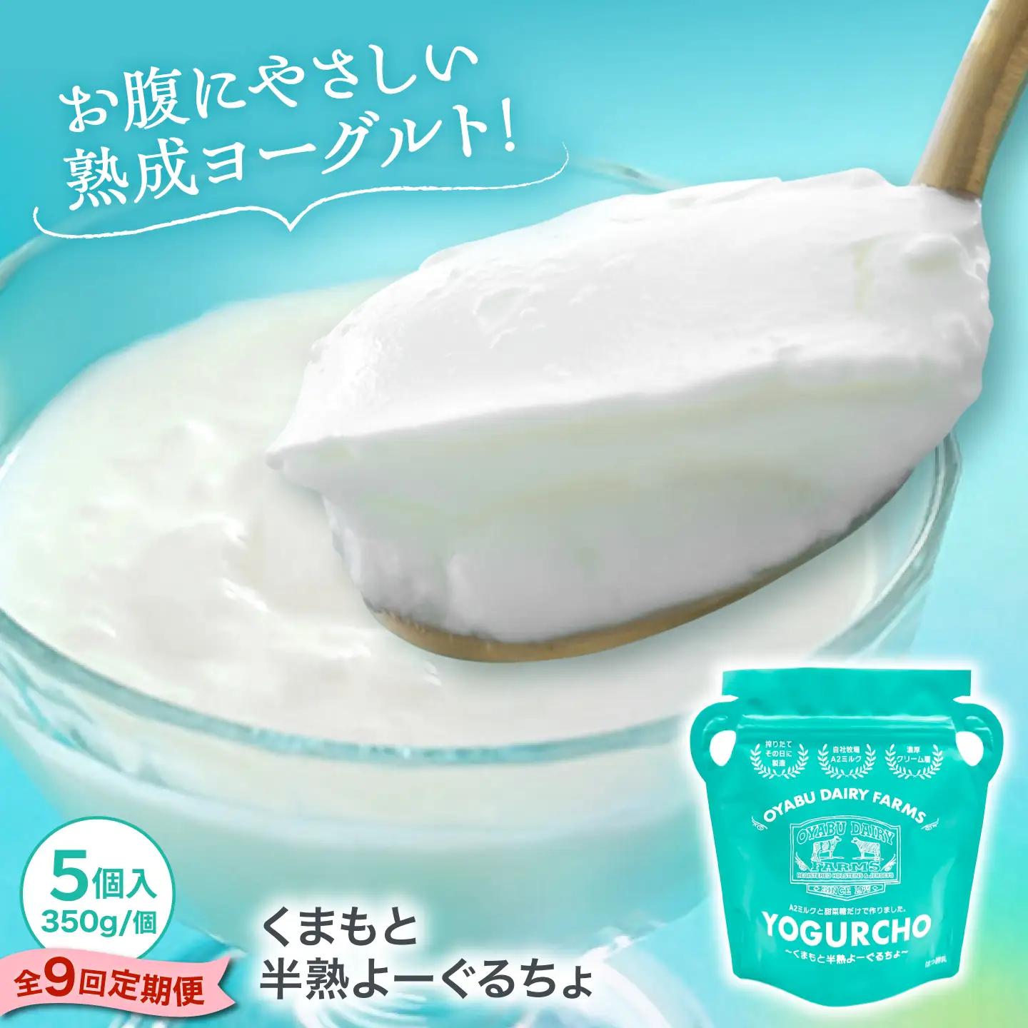 【全9回定期便】オオヤブデイリーファーム くまもと半熟よーぐるちょ 350g×5個ヨーグルト[AYAE021]