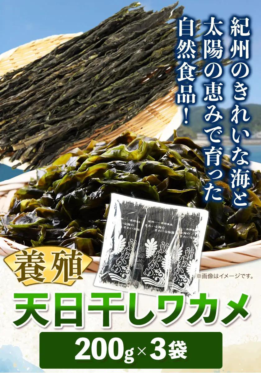 わかめ 天日干しワカメ(養殖) 約600g