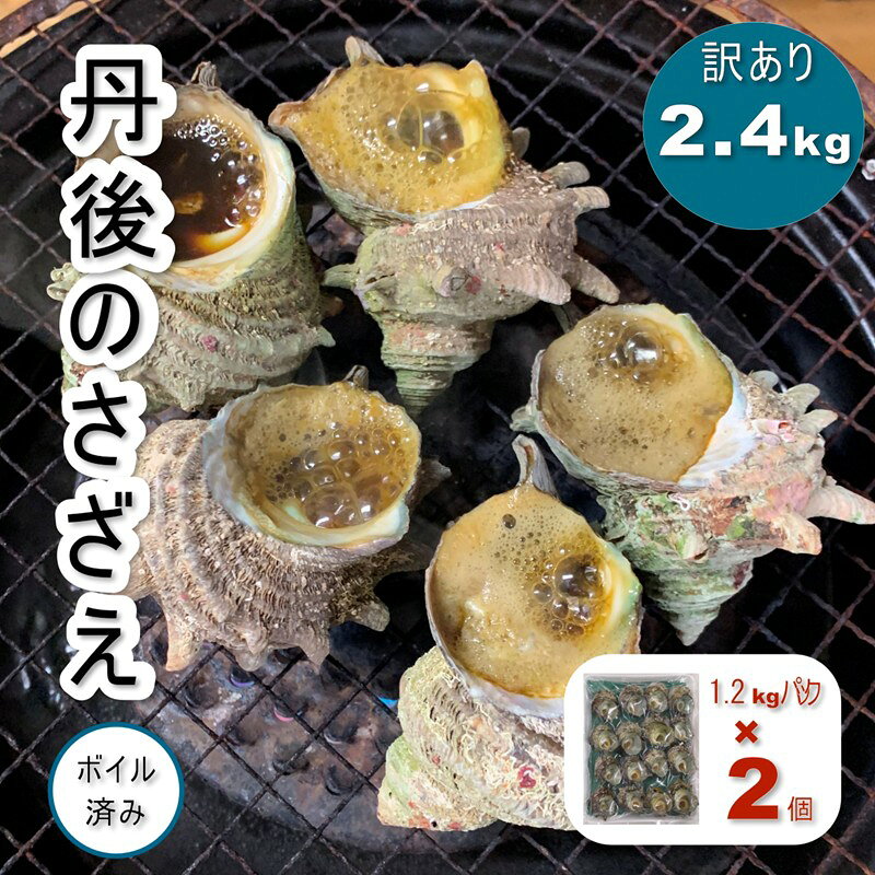 【ふるさと納税】【訳あり・不揃い】 鮮度抜群！京都府産　さざえ（ボイル済）2.4kg（約24～48個）　新鮮 サザエ 栄螺 ボイル つぼ焼き 壷焼き つぼやき お刺身 BBQ バーベキュー アウトドア キャンプ わけありさざえ 2.4キロ さざえの壷焼き