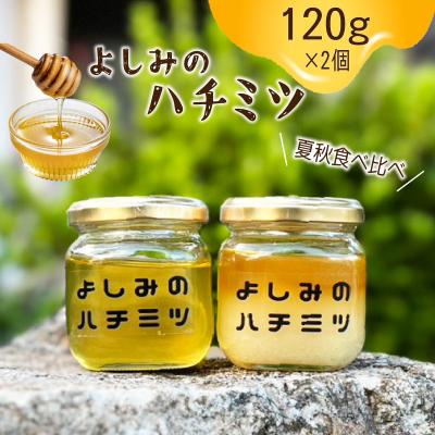 ふるさと納税 下関市 国産はちみつ 夏秋食べ比べ 120g×2本 NB003