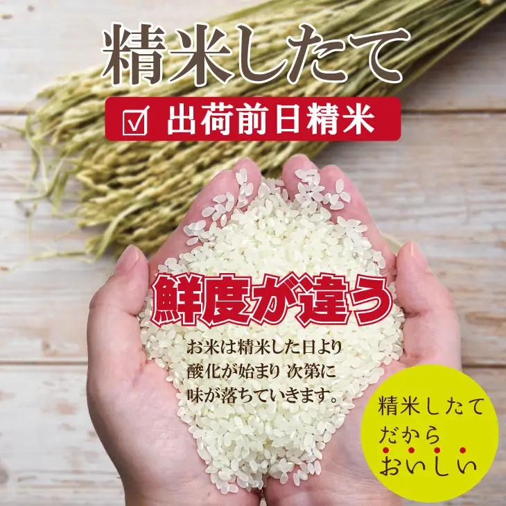 令和7年度産 特別栽培米 無洗米 さがびより （ 10kg ）2024お米番付「優秀賞」！佐賀県認定 しもむら農園  D340-004