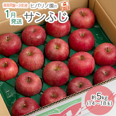 【ふるさと納税】【1月発送】ヒバリノ園のサンふじ 約5kg（14～18玉）青森県鰺ヶ沢町産りんご※オンライン決済のみ 果物 フルーツ デザート シャキシャキ 　お届け：2026年1月5日～2026年1月15日
