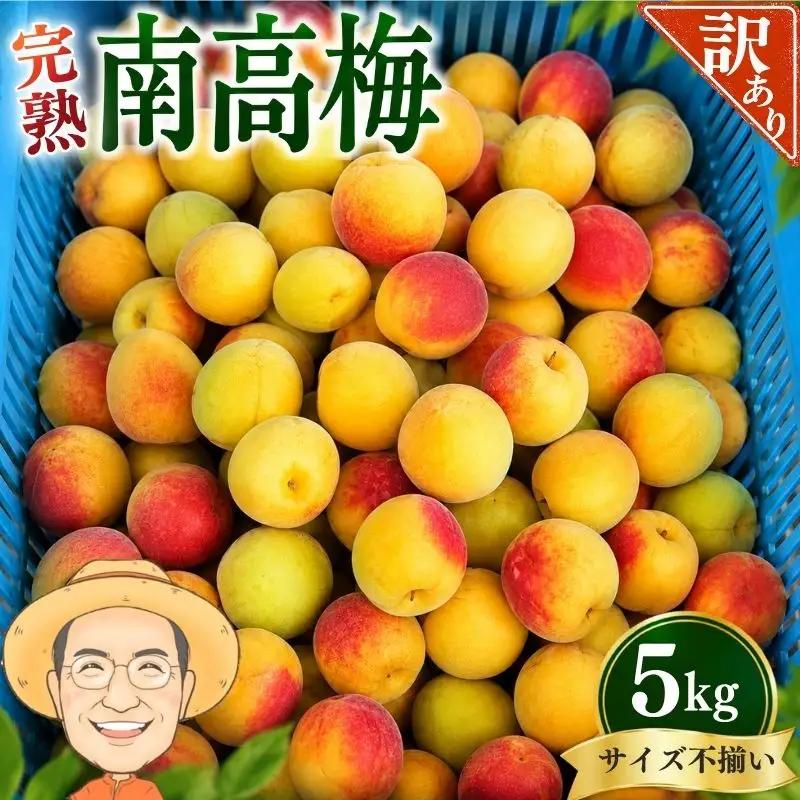 南高梅 約5kg (＋補償100g)【訳あり】完熟  サイズ不揃い カキエモン農園【BX-kkem019A】