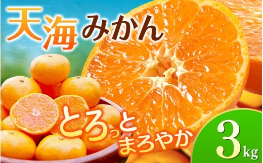 
                  【先行予約】天海みかん 3kg ≪2026年11月より発送≫ 海藻肥料で育った 完熟 早生 みかん ミカン 蜜柑 柑橘 温州みかん フルーツ 果物 くだもの 産地直送 甘い 濃厚 3キロ 期間限定 人気 和歌山県 田辺市 【nak005-1】
                