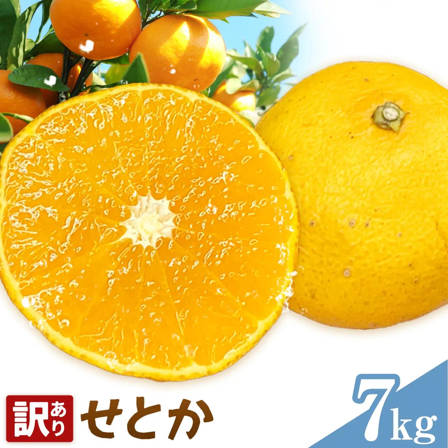 せとか 訳あり 7kg(40-46玉前後) 