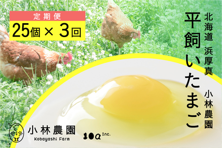【3ヵ月定期便】平飼い有精卵 25個 計75個【常温便】たまご 卵 鶏卵 玉子 生卵 平飼い 北海道[AXAN126]