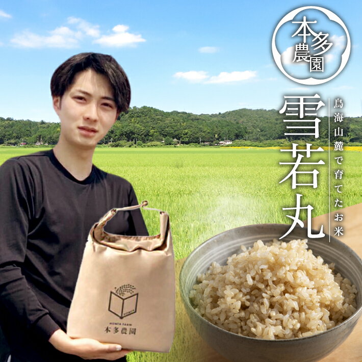 【ふるさと納税】≪新米予約≫ 雪若丸 玄米 5kg 令和7年産米 山形県酒田産 ご希望の時期頃お届け 東北 山形県 酒田市 庄内地方 庄内平野 米 お米 ブランド米 ご飯 ごはん 農家直送 産地直送 本多農園