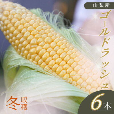 【ふるさと納税】【山梨県南部町産】朝採れゴールドラッシュ6本【配送不可地域：離島】【1663442】