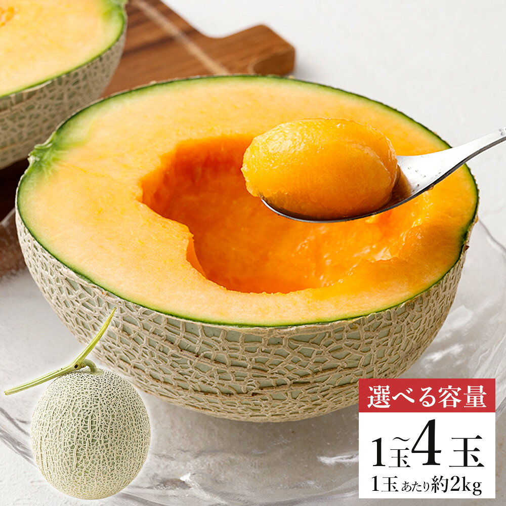 【ふるさと納税】＜選べる内容量＞マリアージュメロン 1玉あたり約2kg 1玉 / 2玉 / 4玉 メロン めろん 赤肉 フルーツ くだもの 果物 果実 デザート ギフト 贈答 贈り物 熊本県産 国産 熊本県 熊本市 送料無料 【2027年5月上旬～6月上旬発送予定】