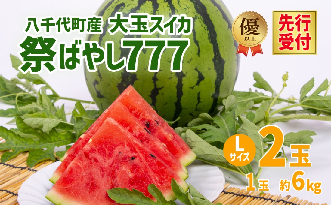 【 先行予約 2027年6月中旬以降発送開始】 令和9年産 八千代町産 大玉 スイカ 優以上 1箱 L2玉（ 1玉 約 6kg ） 祭ばやし777 期間限定 産地直送 果物 フルーツ スイカ すいか 西瓜 甘い 夏 [AX024ya]