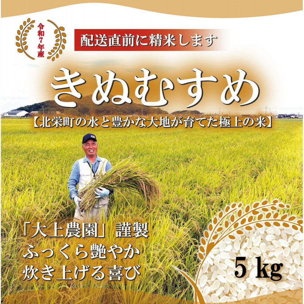 【ふるさと納税】1104.令和7年産　大上農園きぬむすめ精米 5kg | 新米 米 お米 こめ 白米 きぬむすめ ご飯 ごはん 白ごはん 白ご飯 5kg おすすめ 人気 2025年産 令和7年 厳選 国産