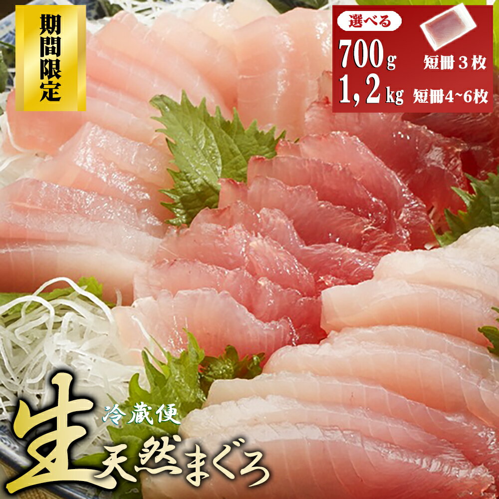 【ふるさと納税】期間限定！〈生でお届け〉国産天然マグロ短冊 700g｜1，2kg 【10月15日までの受付】 産地直送 天然ビンチョウマグロ 天然 国産 鮪 まぐろ マグロ 海鮮 刺し身 短冊 冊 問屋 直送 自社加工 小分け 切るだけ 簡単調理 厳選 トロ 三重県 尾鷲市　KI-67