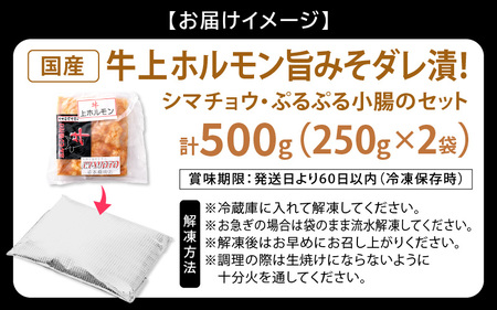 国産牛 上ホルモン 計500g（250g × 2袋）シマチョウ・ぷるぷる小腸のセット 旨みそダレ漬！【小分け バーベキュー】 [e03-a016]