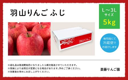 りんご《2026年11月下旬以降順次》羽山のりんご ふじL～3Lサイズ5kg りんご リンゴ 果物 フルーツ【斎藤りんご園】