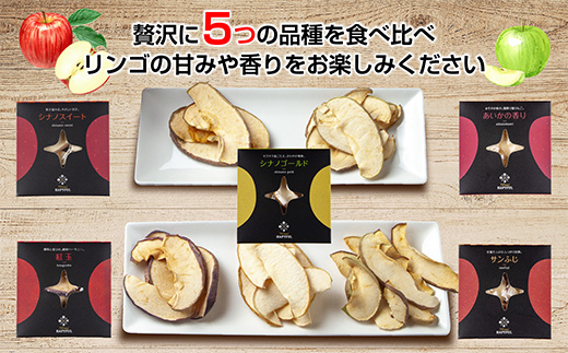【熨斗】ドライフルーツ りんご 5種(シナノゴールド シナノ