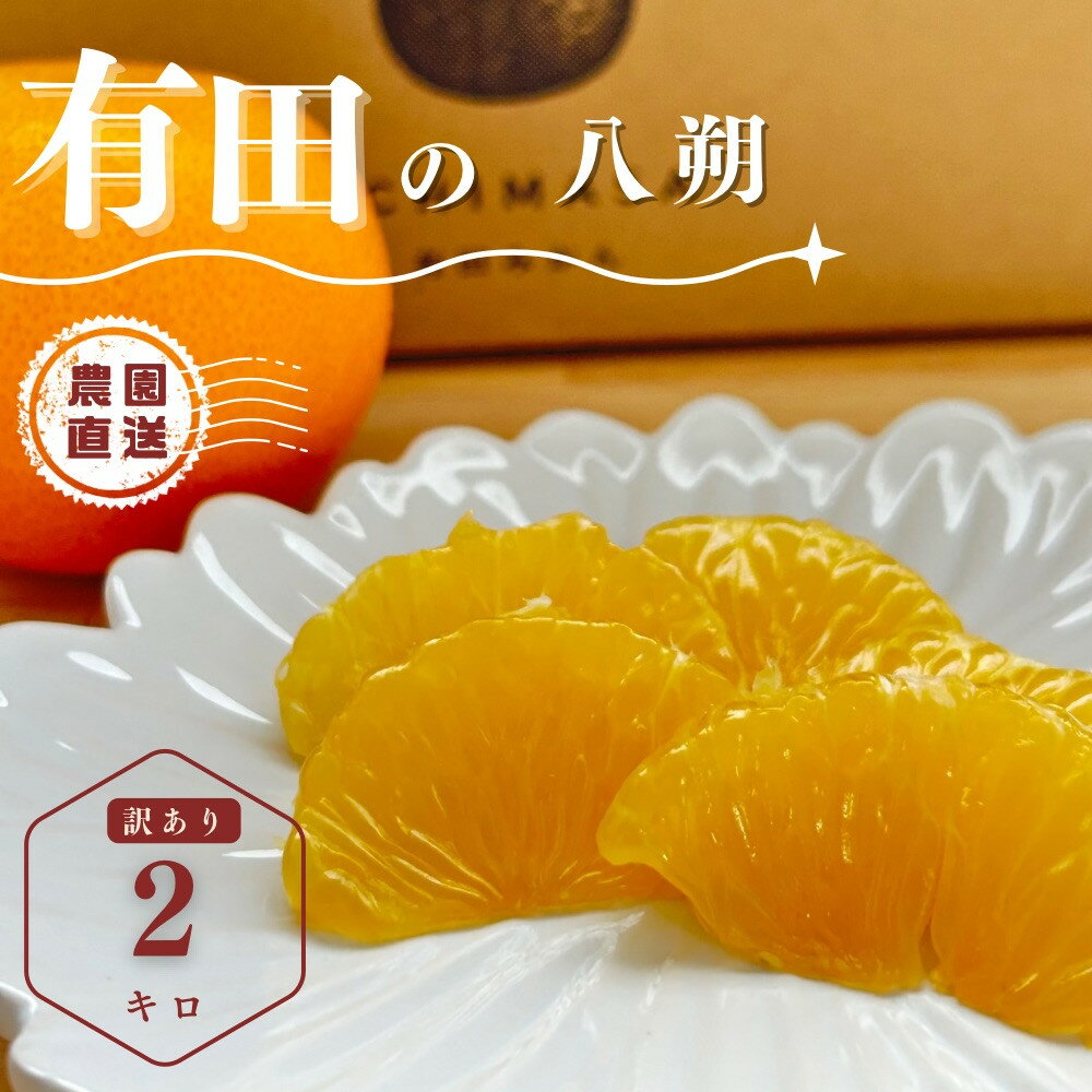 【ふるさと納税】【先行予約】 八朔 2kg 訳あり サイズ混合 柑橘 フルーツ はっさく 産地直送 お取り寄せ 送料無料 | はっさく 八朔 果物 ハッサク 訳あり わけあり フルーツ 有田 和歌山 人気 おすすめ お試し 送料無料 産地直送 柑橘 低農薬栽培